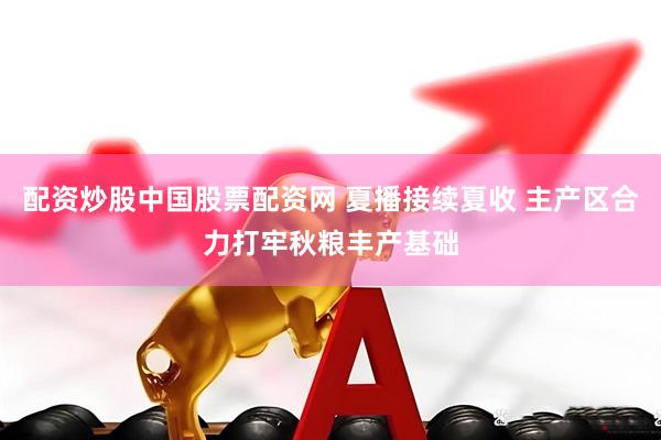 配资炒股中国股票配资网 夏播接续夏收 主产区合力打牢秋粮丰产基础
