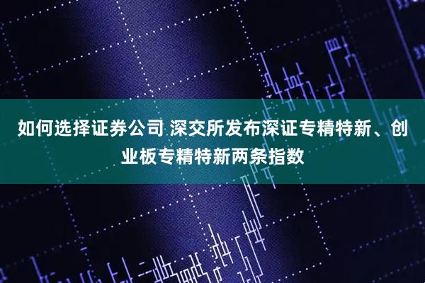 如何选择证券公司 深交所发布深证专精特新、创业板专精特新两条指数